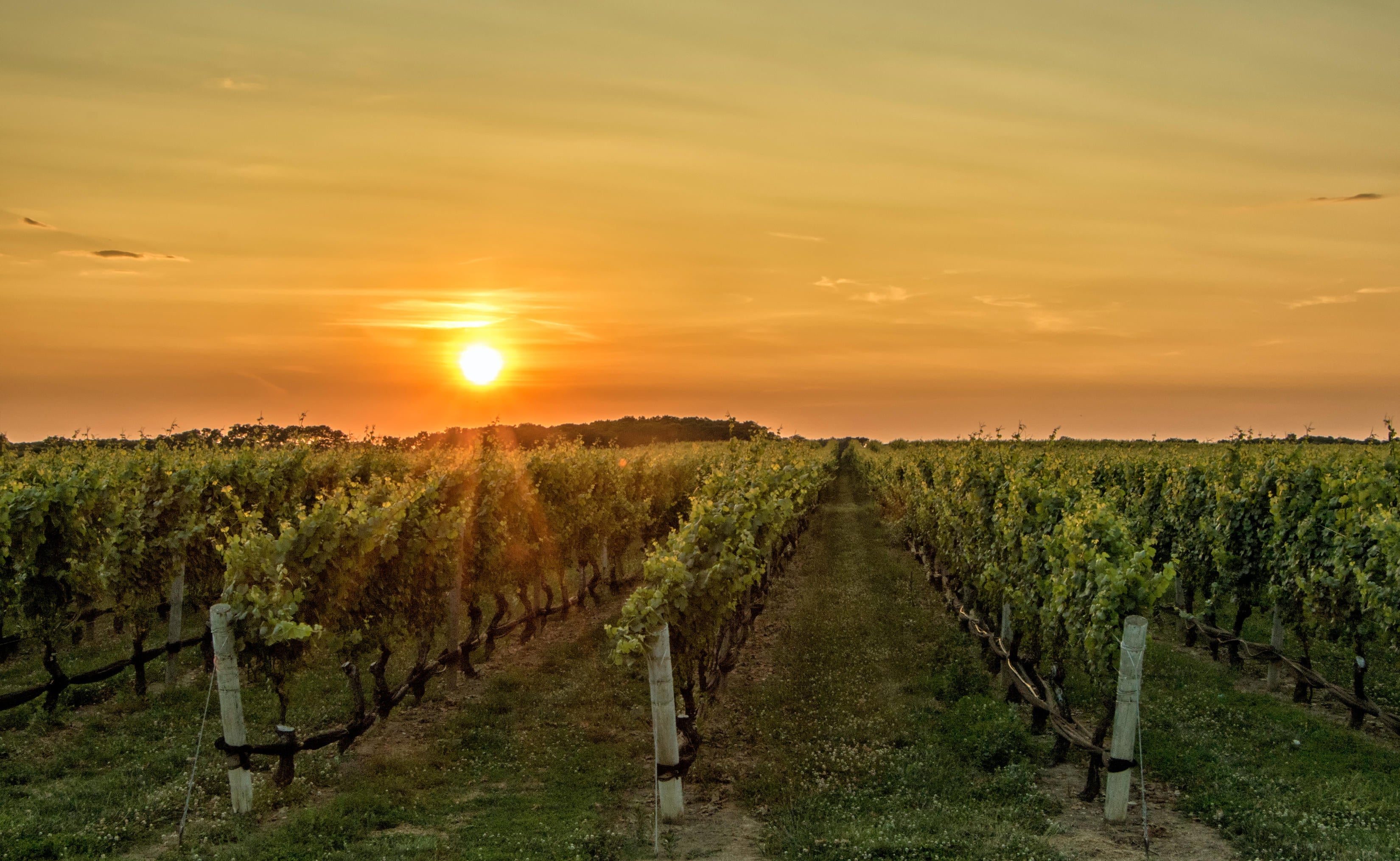 Why Do We Observe Daylight Saving Time?