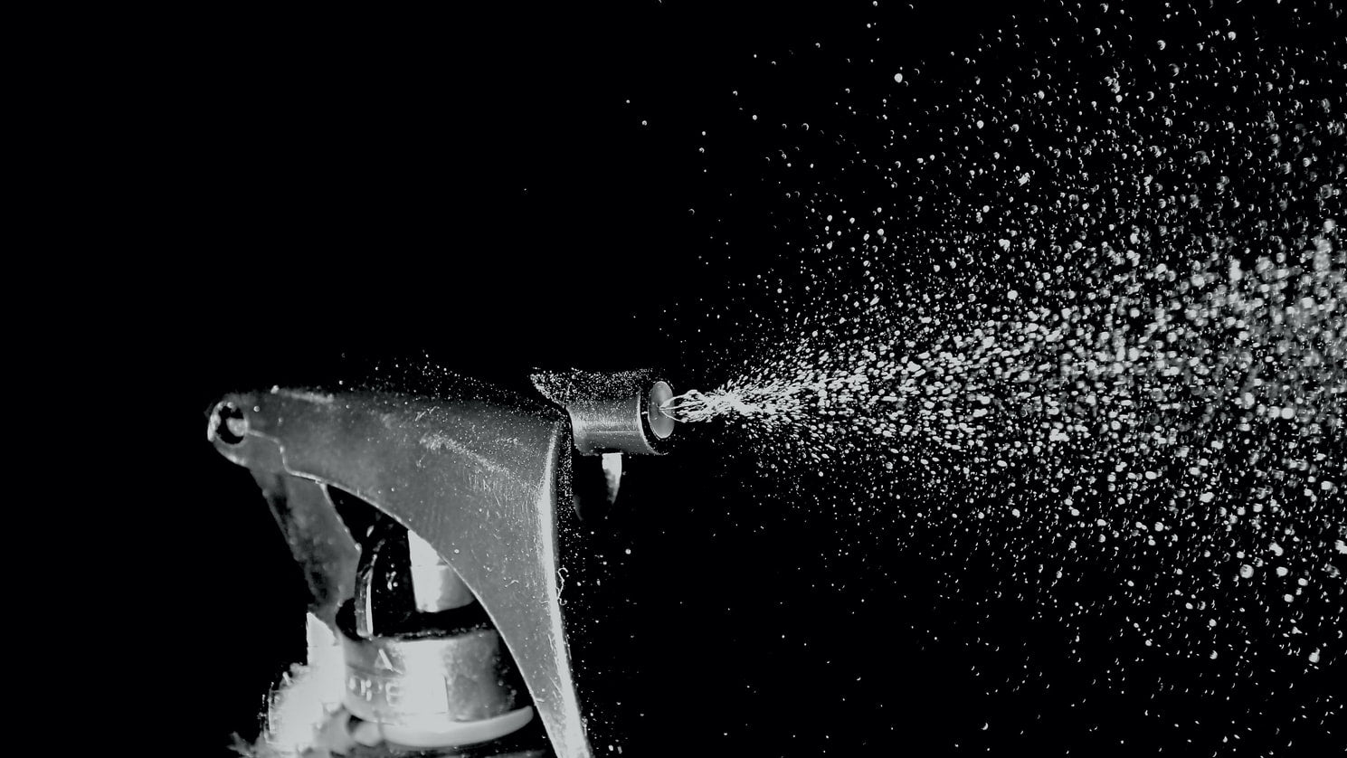 Natural Bug Repellent: 23 Ingredients That Work