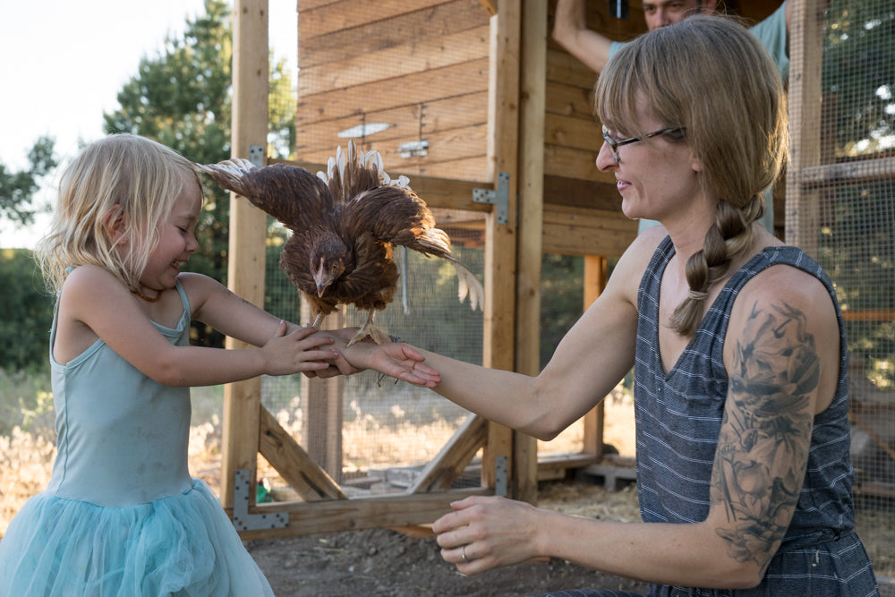 The Importance of First Aid for Chickens